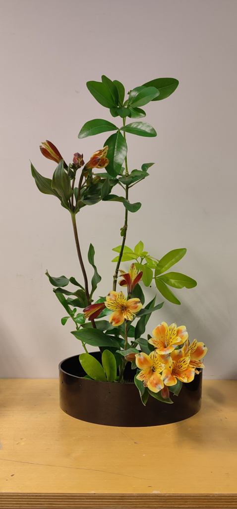 ikebana - art quotidien